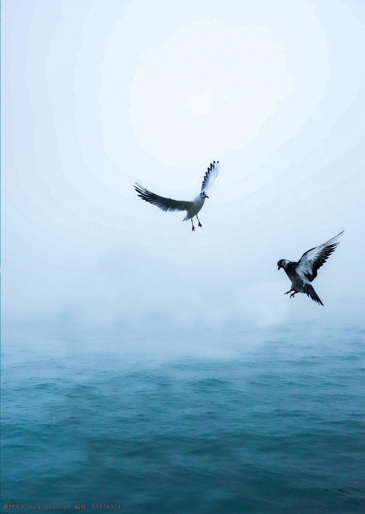 海滩 海洋 自然 天空 水 海浪