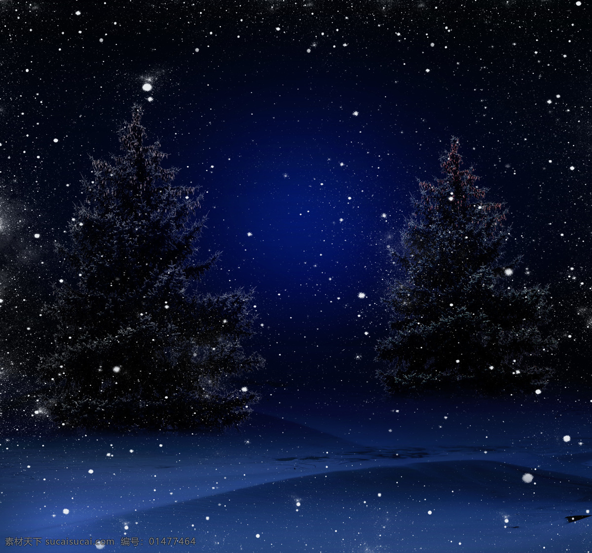 夜晚 树木 雪花 雪地 冬天 山水风景 风景图片