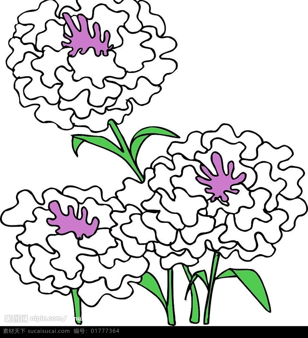 白色的花 生物世界 花草 矢量图库