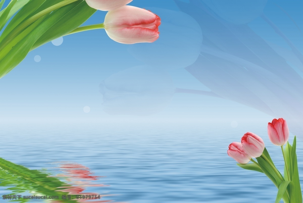 水上花 花朵 电视背景 花卉 时尚 浪漫 简约 水纹 背景墙 tif不分层 郁金香 原创共享 底纹边框 移门图案 蓝色