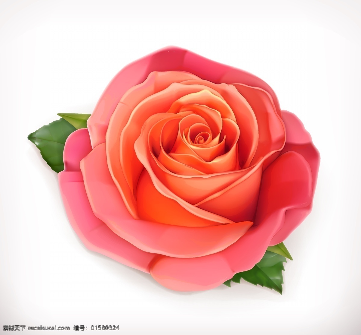 玫瑰花 矢量 花朵 红色玫瑰 格式 psd素材 高清图片