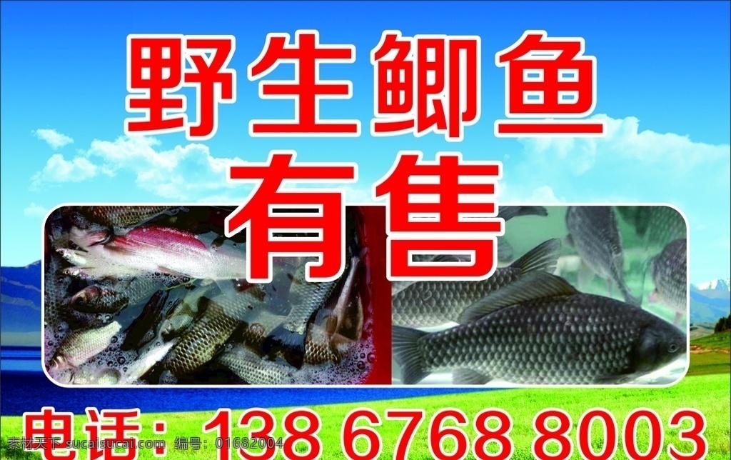 水产出售 水产 野生 农产品 鲫鱼 出售