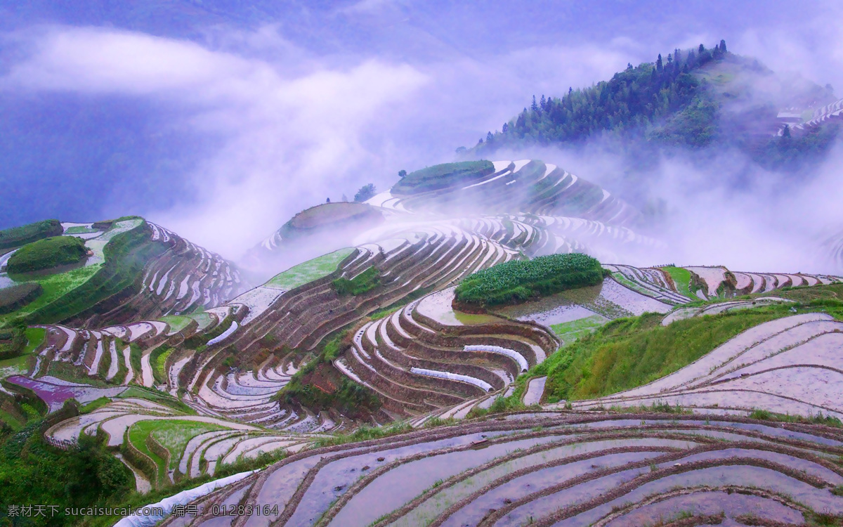 天空 蓝天 云彩 风景 风光 田地 梯田 山脉 自然景观 山水风景