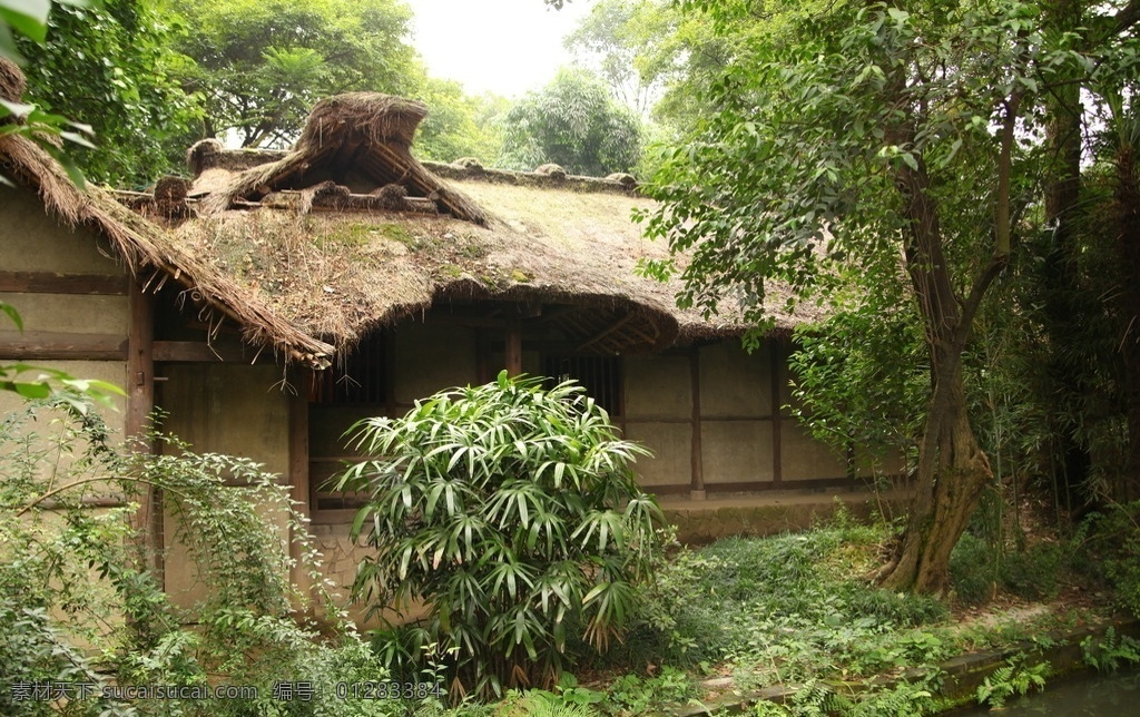 杜甫草堂 成都 熊猫基地 野生动物 保护 四川 天府之国 安逸 自然 旅游摄影 国内旅游