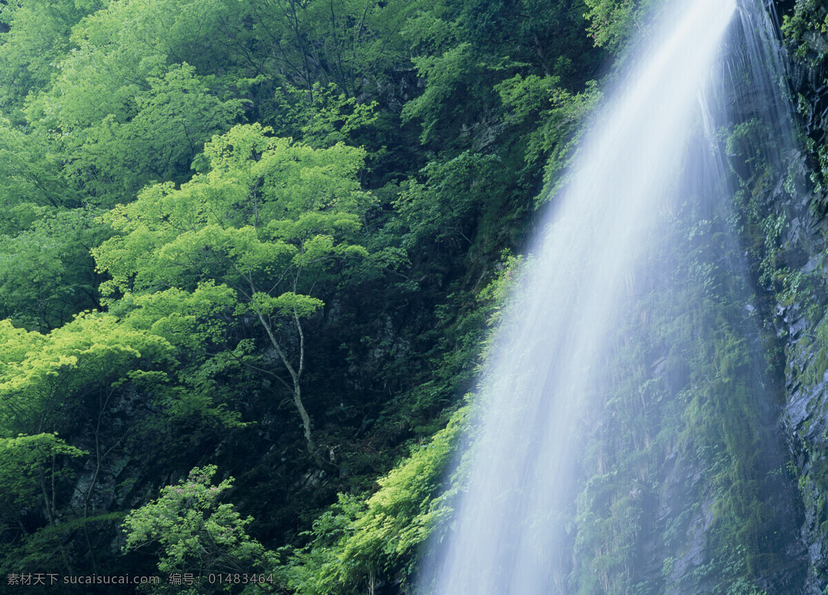 山中 垂 下 瀑布 写真图片 湍急 溪流 河山 风景 壮丽 山川 风光美图 美丽风景 自然风光 风景摄影 高清图片 瀑布图片 风景图片