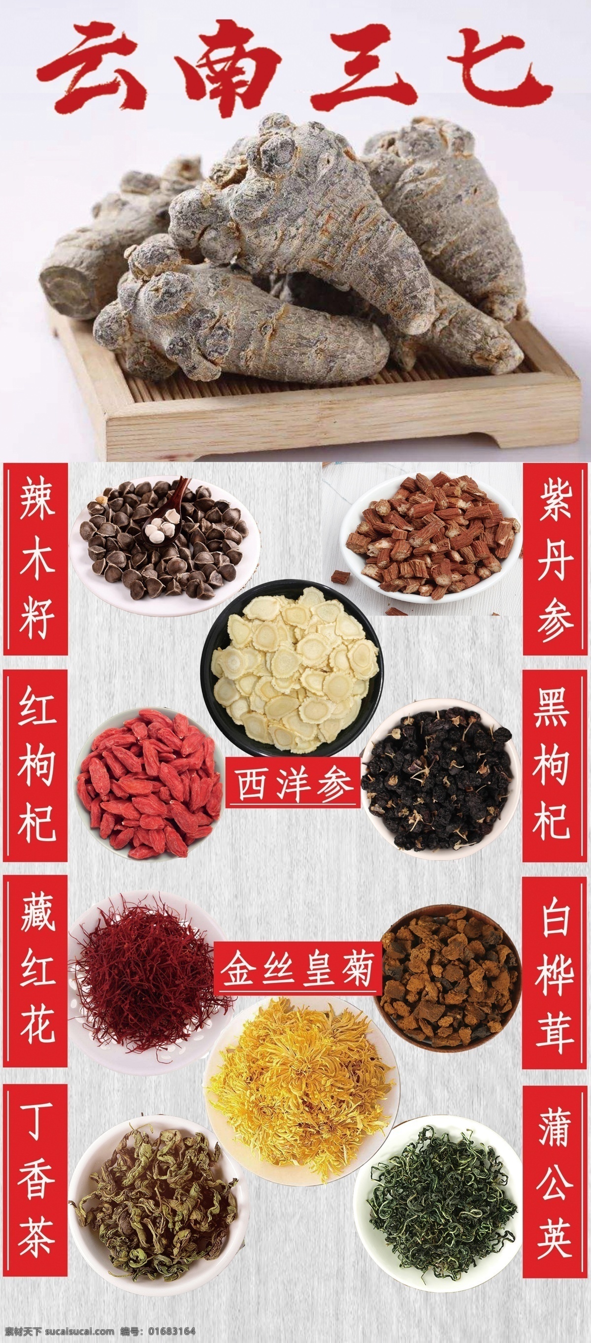 三七 西洋参 中药材 海报 丹参 滋补品 红枸杞 黑枸杞 金丝皇菊 蒲公英
