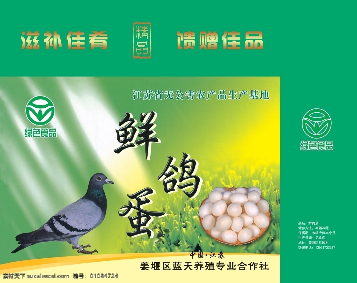 鸽子 蛋 包装 展开 图 鸽子蛋素材 鸽子蛋包装 鸽子素材 绿色食品 鲜鸽蛋 包装设计
