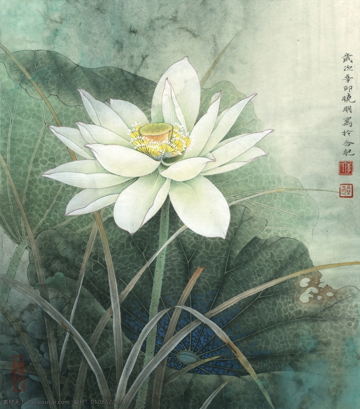 荷花 册页 清雅 荷 韵 高清 国画 灰色