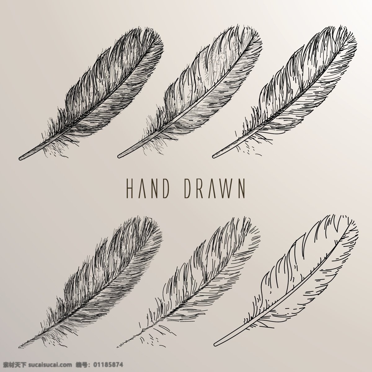 手绘 素描 风格 羽毛 集合 素描风格 羽毛集合