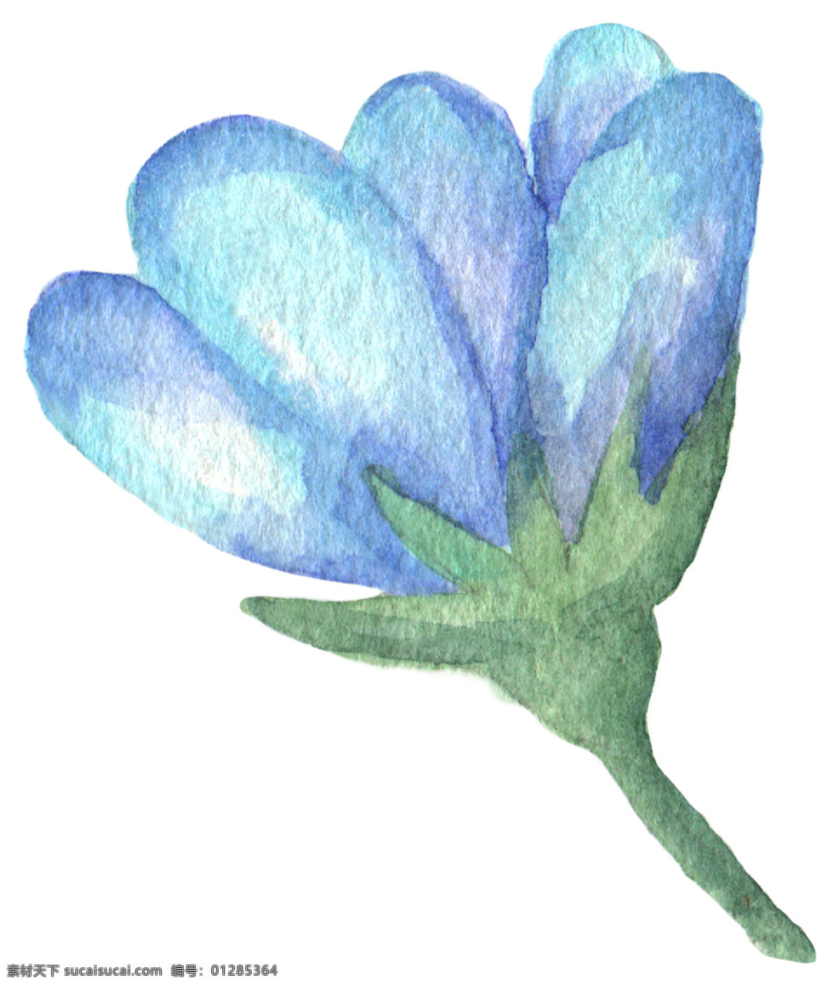 淡 蓝色 花卉图片 淡蓝色 花束 花卉 美丽 红色