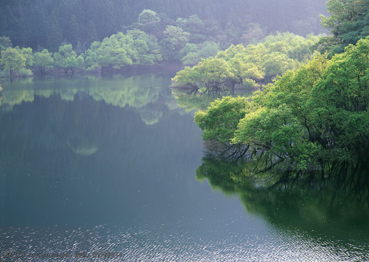 河流 绿树 高清图片下载 高山 流水 风景 生活 旅游餐饮