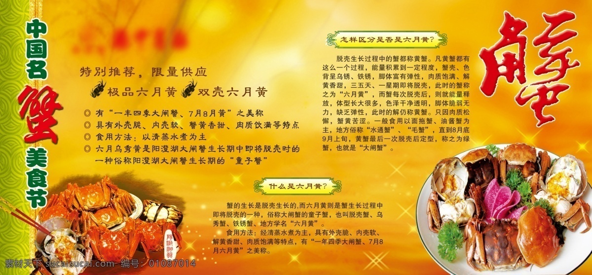中国 名 蟹 大闸蟹 中国名蟹 六月黄 水通蟹 毛蟹 美食节 黄色