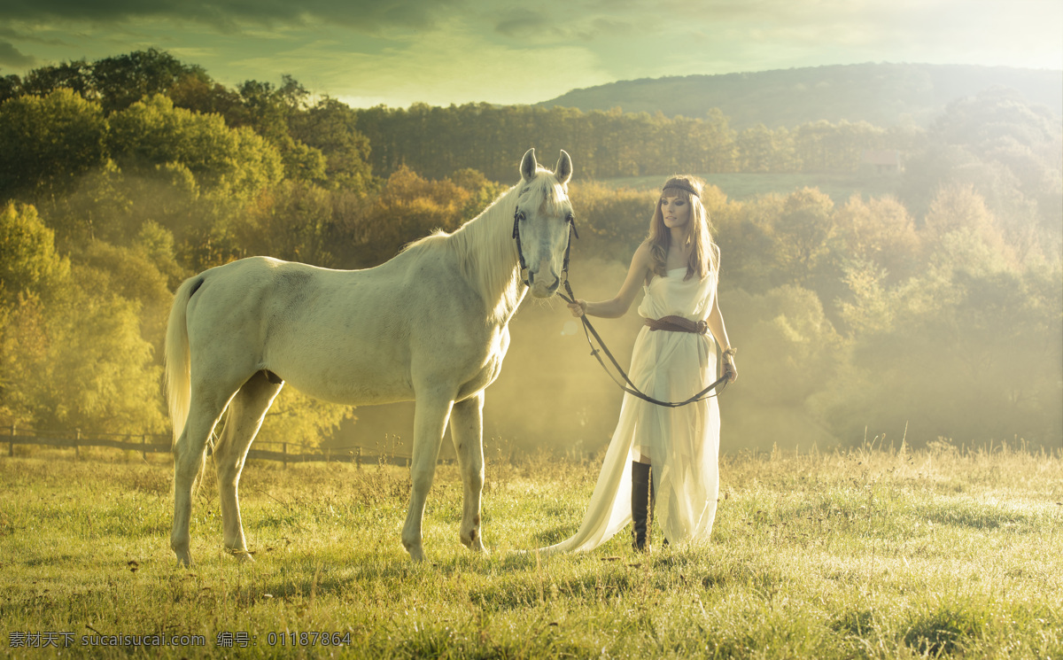 草地 上 牵 马 美女图片 牵着马的美女 白马 长裙美女 外国人 人物图片