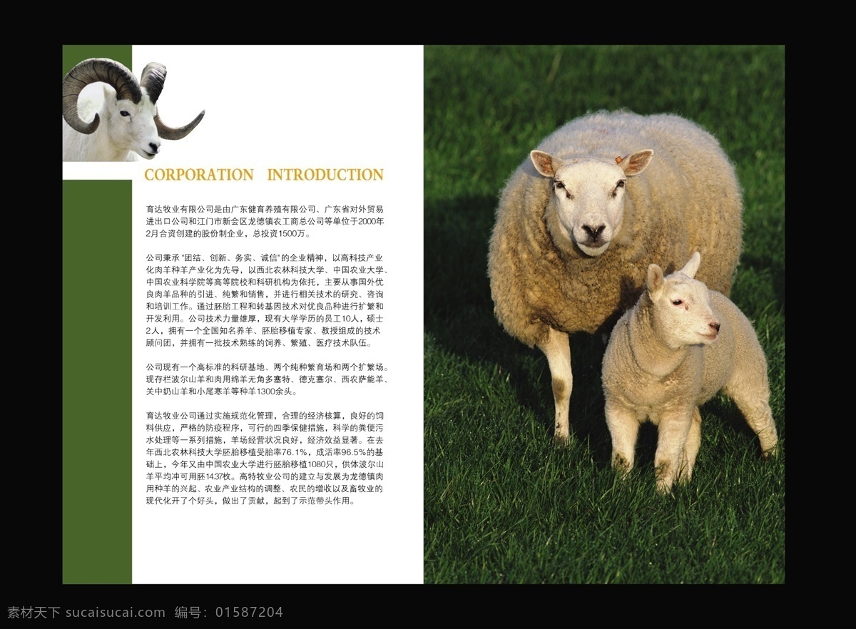 畜牧 画册 文件 源文件 psd源文件 商务 商业 ps 画册设计 版式 畜牧画册 其他画册封面