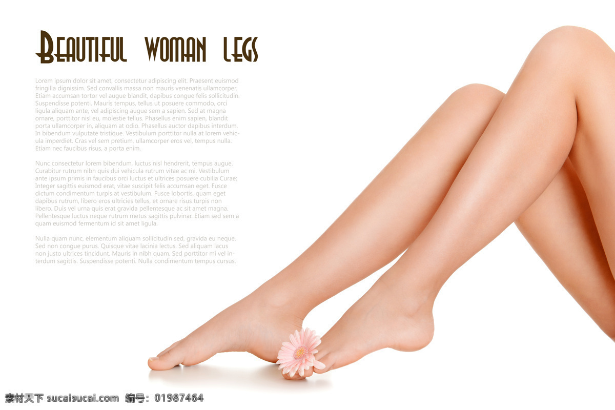 性感 美 腿 花朵 鲜花 美女模特 美女写真 美丽女人 时尚美女 性感美女 性感女人 美腿 女性女人 人体器官图 人物图片