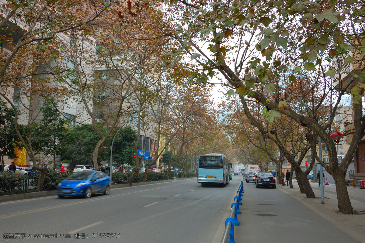 成都 祠堂 街 枫树 街景 成都祠堂街 秋叶 秋天枫树 成都街景 人文景观 旅游摄影 灰色