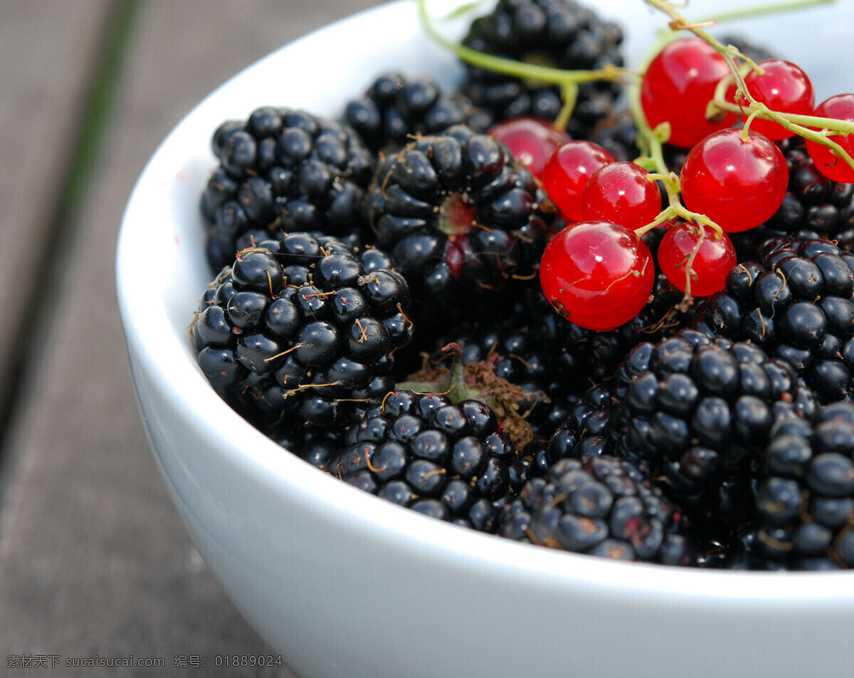 黑莓 blackberry 红醋栗 munakka 红醋栗果酱 营养水果 健康水果 水果 生物世界
