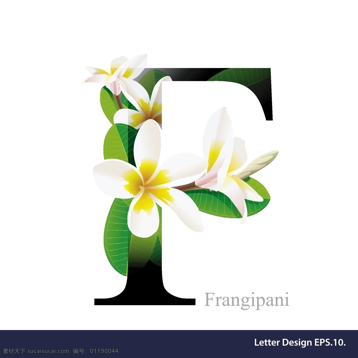 花朵字母 英文 字体 字母 美术体 花 花朵字 花卉插画 各种花型 植物花 字母花 艺术字母花朵 花朵 花朵纹理 服装花型 鲜花 花草 生物世界