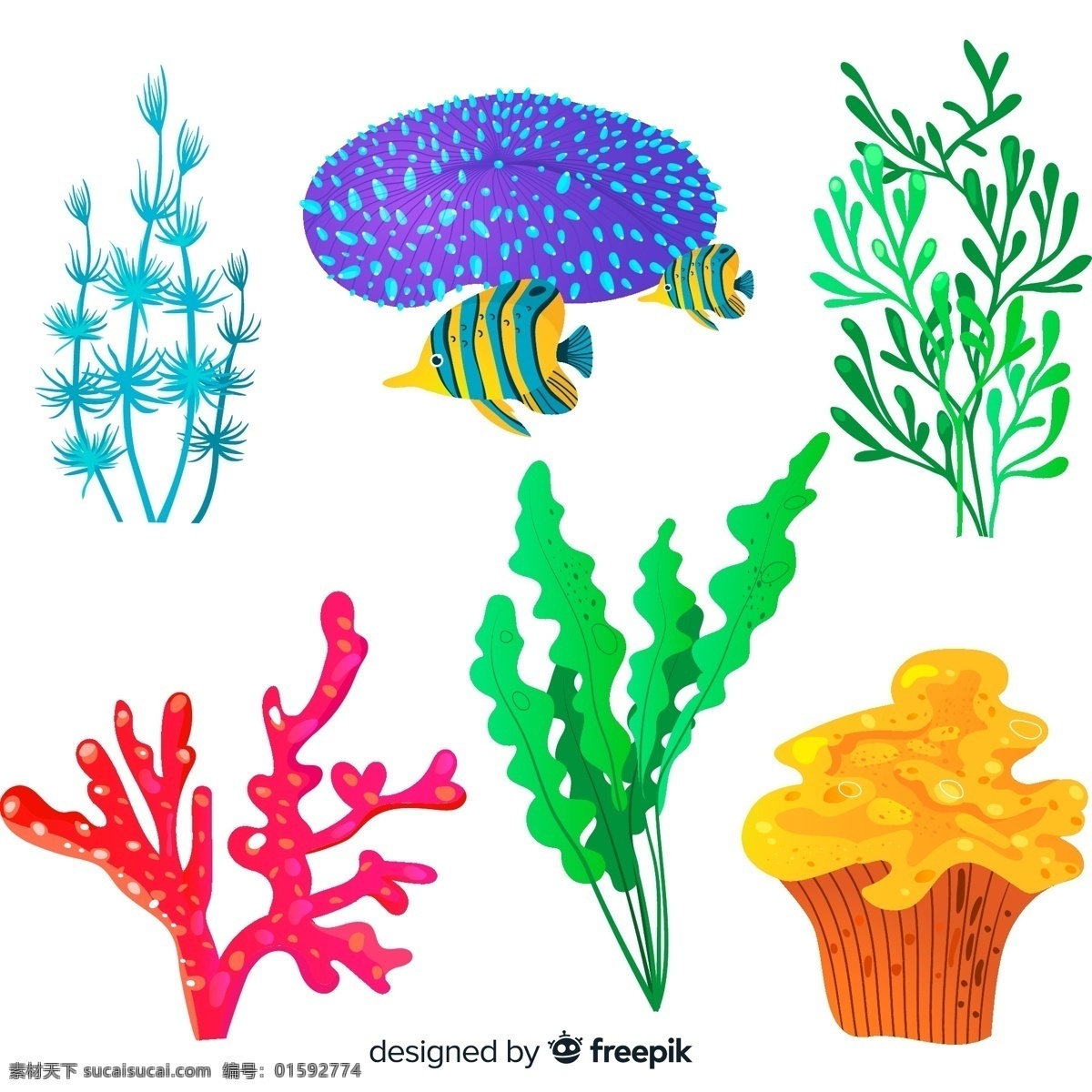款 彩色 珊瑚 海草 大海 矢量图 矢量 高清图片