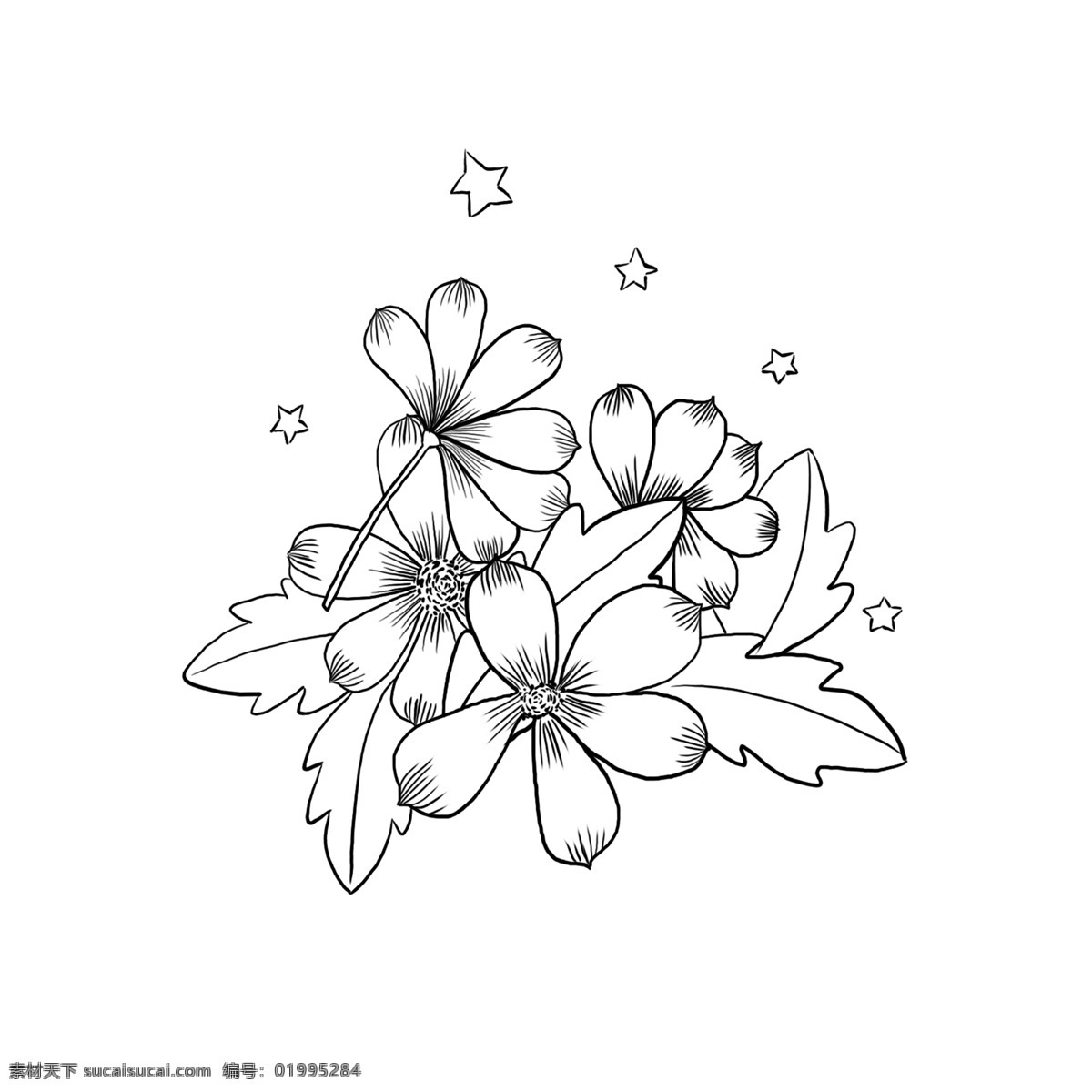 黑白 分层 花朵 底纹 线 稿 商用 花朵线稿 黑白线稿 花卉线稿 花卉纹理 手绘花朵线稿