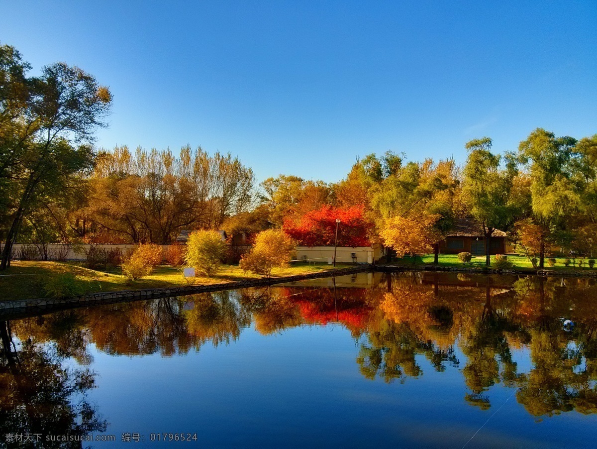 哈尔滨 太阳岛 自然风景 风景壁纸 风景图片 国内旅游 风景区 大树 树枝树干 蓝天 湖泊 倒影 自然景观