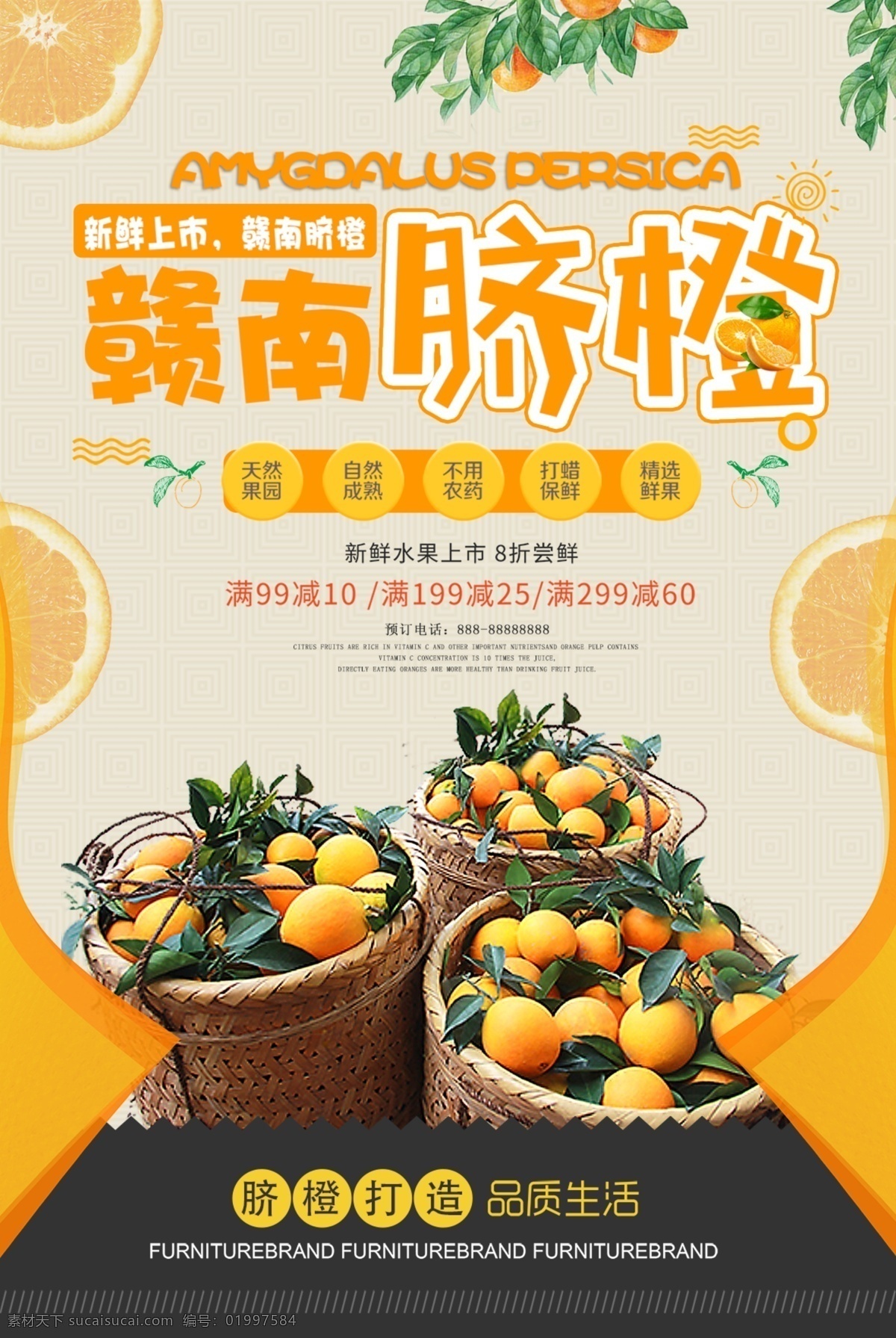 赣南 脐橙 简洁 大气 橙子 橙子海报 橙汁 简洁大气 橙子产地 橙子宣传 橙子广告 金橘 水果橙子 橙子水果 橙子批发 摘橙子 批发橙子 橙子专卖 赣南脐橙 美味橙子 大气简洁