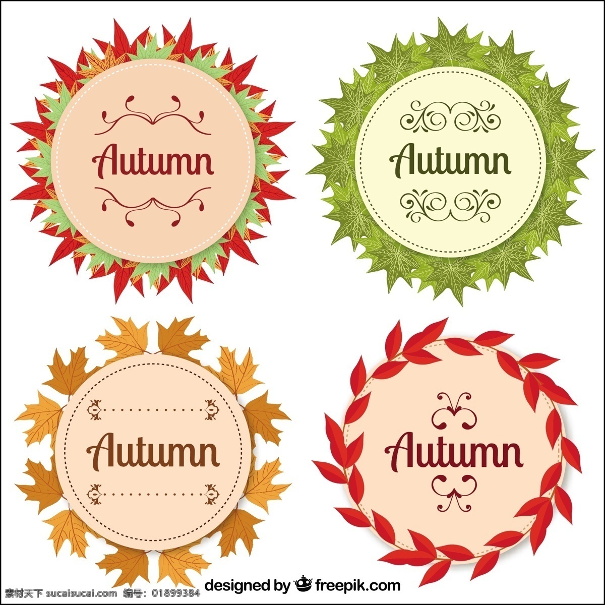 秋天 徽章 圆形 风格 现代 集 叶 自然 邮票 可爱 树叶 彩色 平面 秋季 圆 平面设计 会徽 象征 冷静 分行
