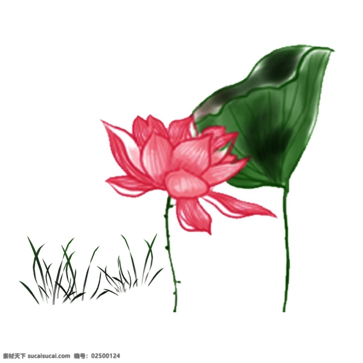 清新 水彩 荷花 卡通 透明 png免抠图 透明素材 花卉 装饰 免 抠 图 花朵