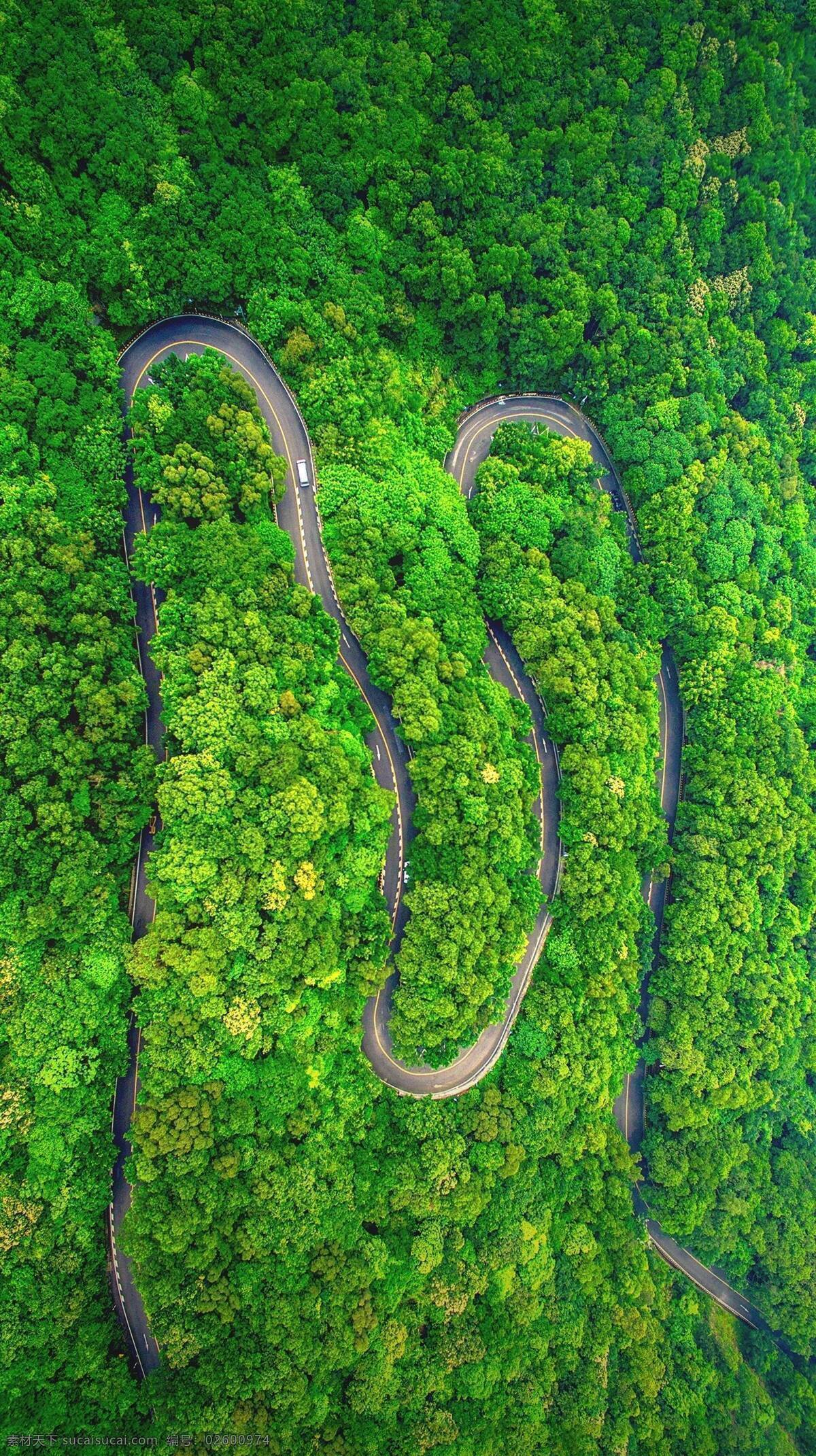 公路 弯道 汽车 绿树 树林 绿色 鸟瞰 俯视 航拍