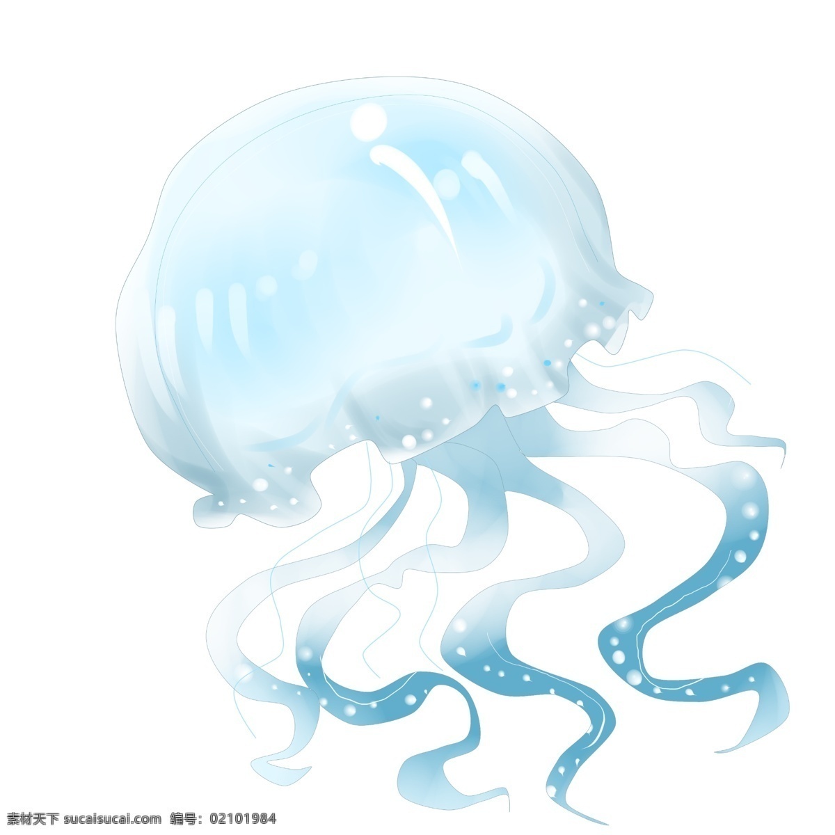 蓝色海洋水母 透明 梦幻 水生物