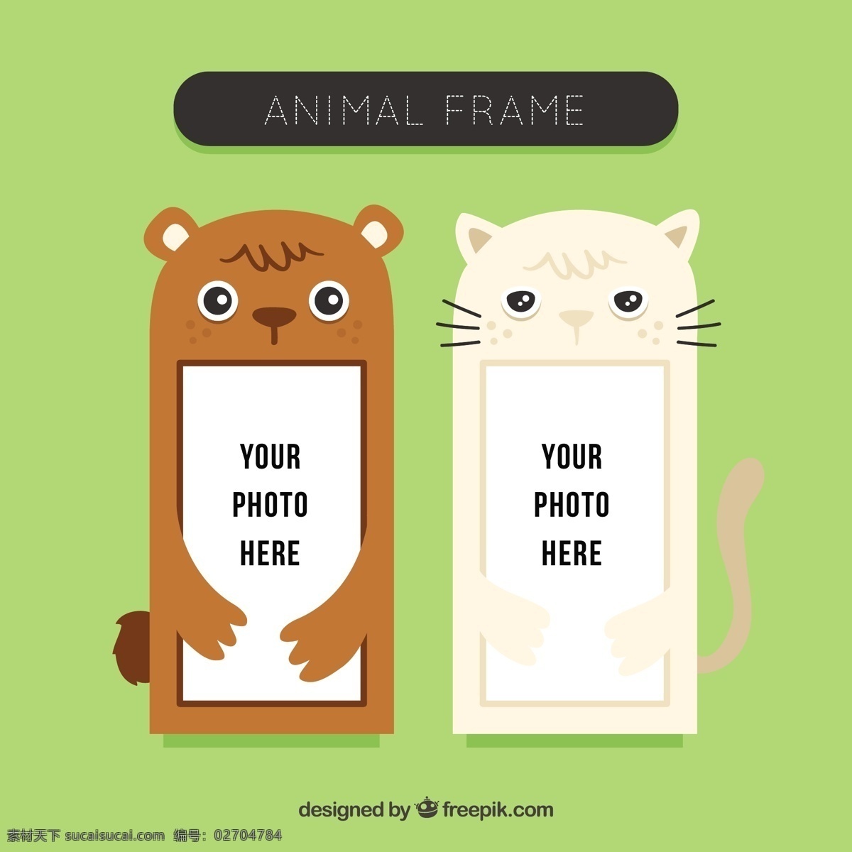 尼斯动物相框 画框 相框 自然 猫 动物 照片 可爱 熊 装修 装饰 可爱的 野生 设置 尼斯 野生动物