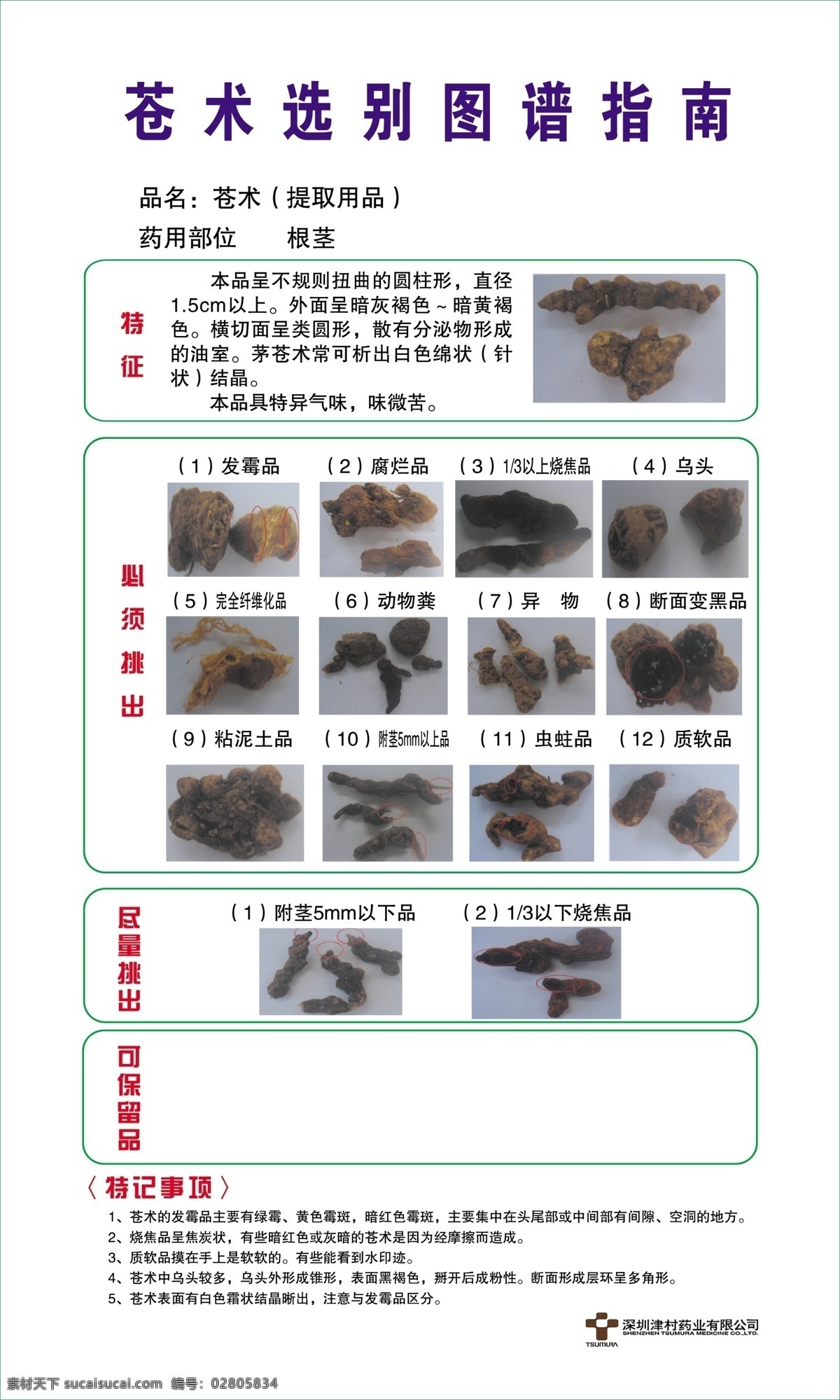 参考 广告设计模板 药品 源文件 展板模板 指南 苍术药品展板 苍术 选别 图谱 品名 异物 药物作用 图号参考 其他展板设计