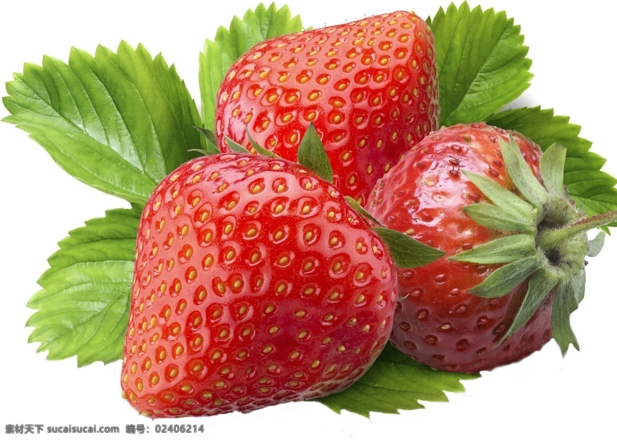 透明底 草莓 水果 源文件 psd格式