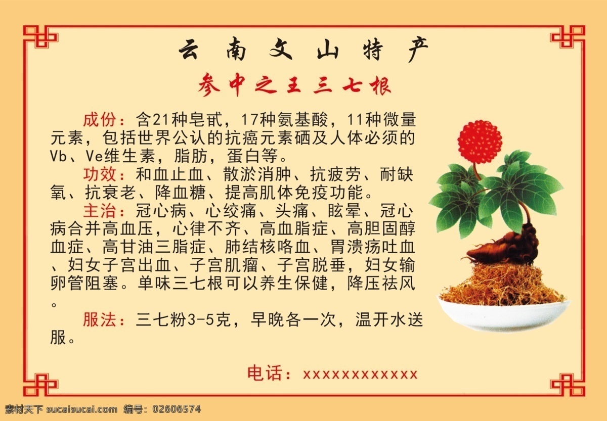 云南 文山 三 七 特产 云南三七 三七 三七粉 养生 高血压 产地 保健 dm宣传单