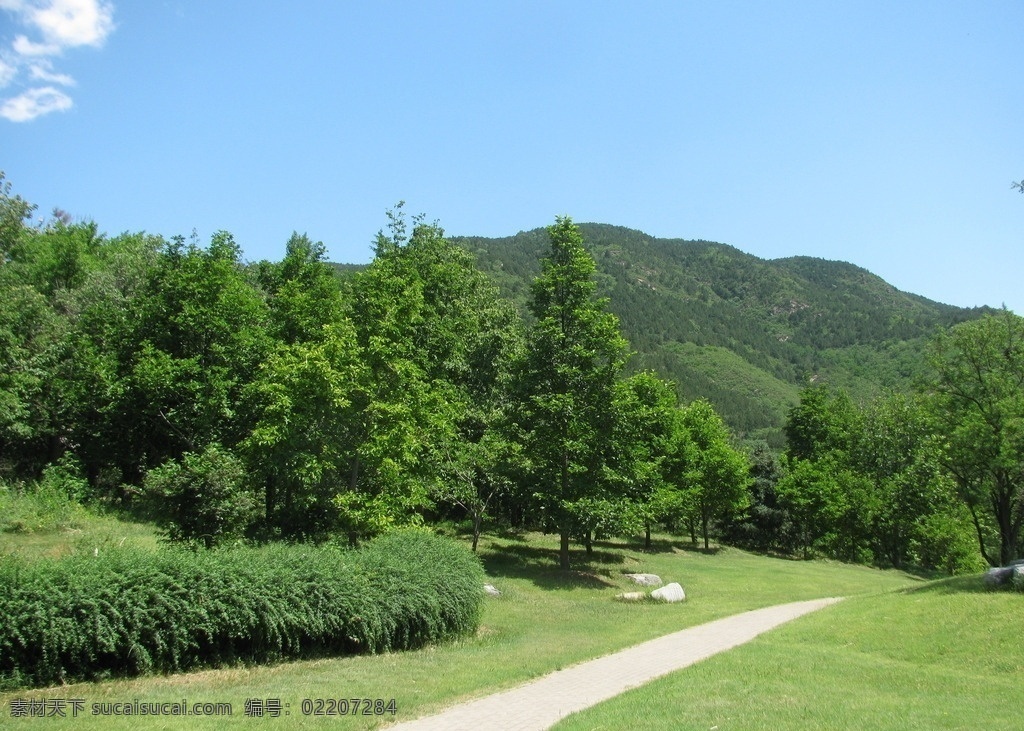 植物园美景 园林美景 植物园风景 树林 小路 山峦 蓝天白云 绿化景观 绿树 绿地 树木 草地 花草 园林景观 公园美景 园林风景 建筑园林 园林建筑