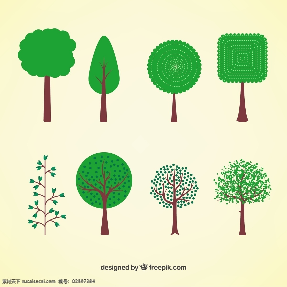 各种各样 春天 树 自然 绿色 森林 树木 环境 树叶 品种 植被 白色