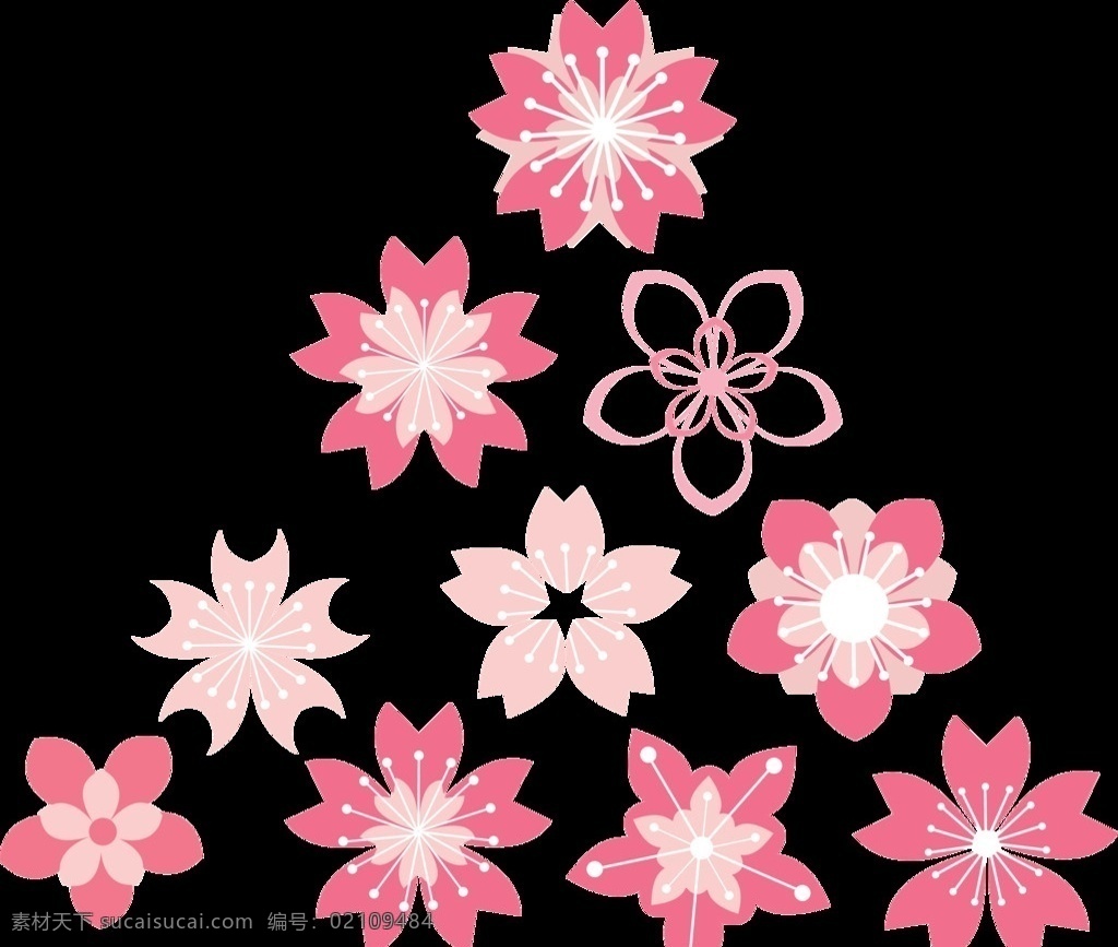 大图 樱花 粉色 白色 多种多样 矢量
