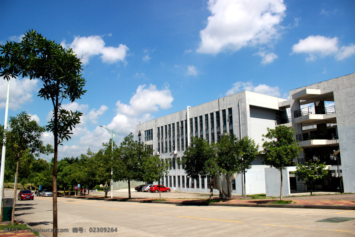 建筑 龙岩学院 福媒实验楼 绿树 蓝天 白色 白云 龙院 建筑园林 建筑摄影