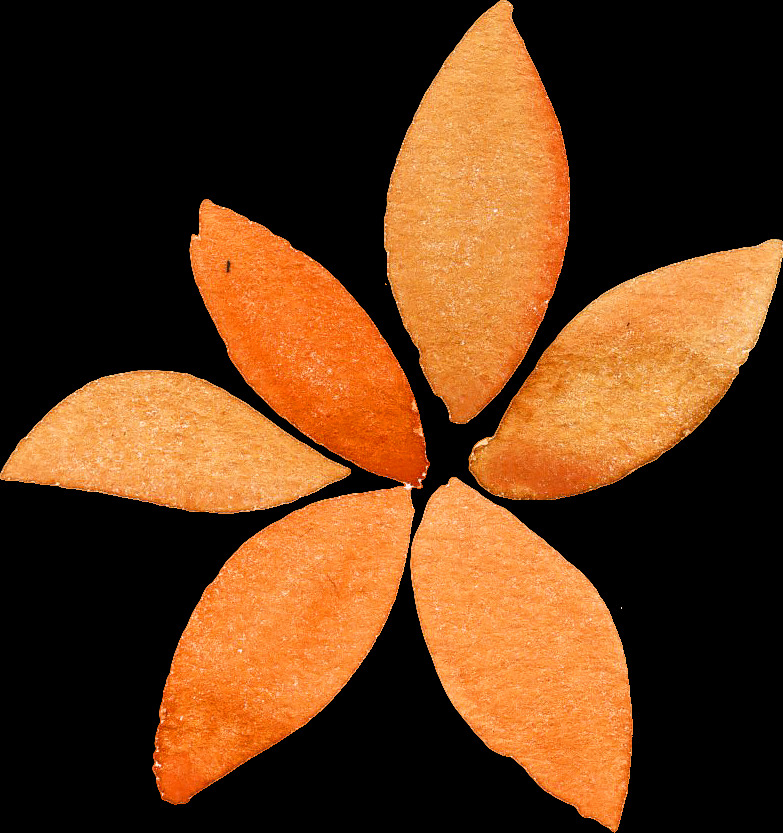 水彩枯叶 手绘狐狸 可爱狐狸 狐狸水彩画 狐狸花朵花环 花朵 花环 鲜花 水彩画 树叶 插画 装饰画 无框画 文化艺术 绘画书法