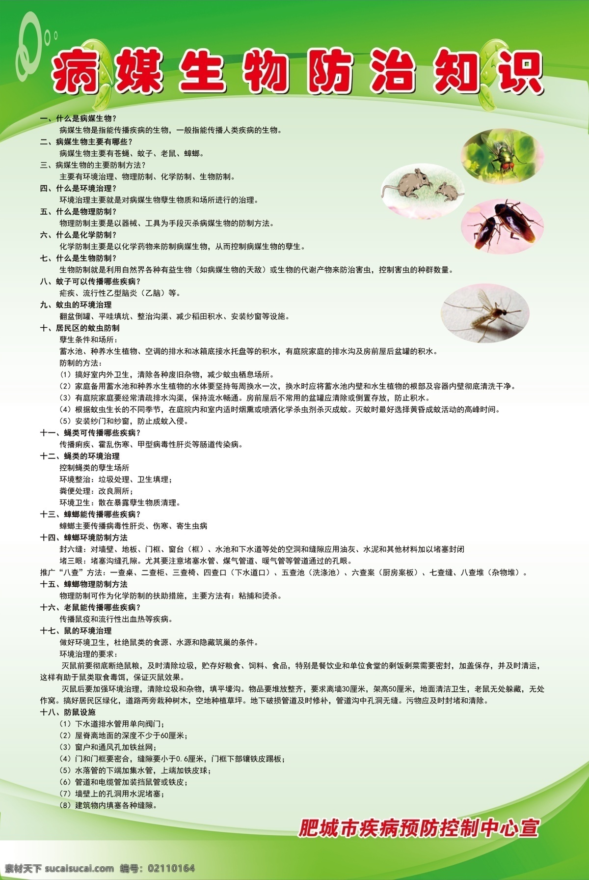 病 媒 生物 防治知识 病媒生物 蟑螂 老鼠 蚊子 苍蝇 海报展板 分层