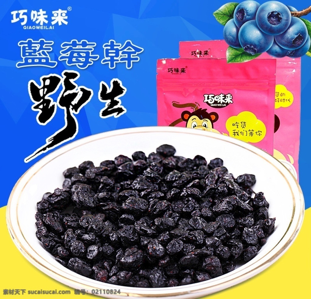 野生 蓝莓 干 主 图 海报 食品 休闲 零食 特产 果干 蓝莓干 野生蓝莓 主图 背景 蓝色 三角分割背景 高档主图 太空 淘宝界面设计 淘宝 广告 banner