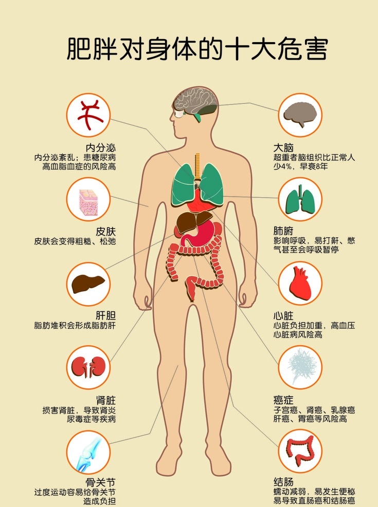 肥胖 身体 十大 危害 十大危害 对身体的危害 减肥 肥胖的危害 作品