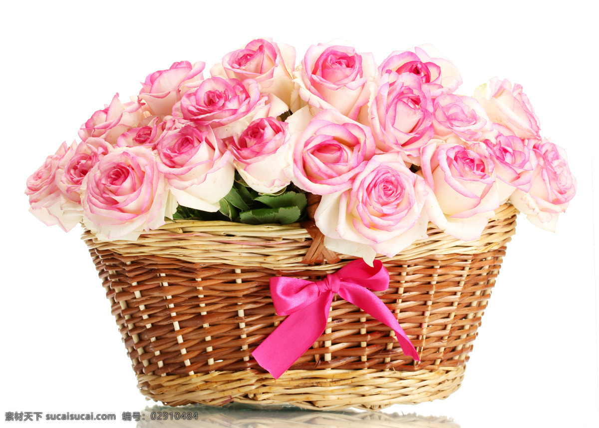 美丽 玫瑰 花篮 玫瑰花 粉红玫瑰 美丽鲜花 花卉 美丽花朵 花草树木 生物世界