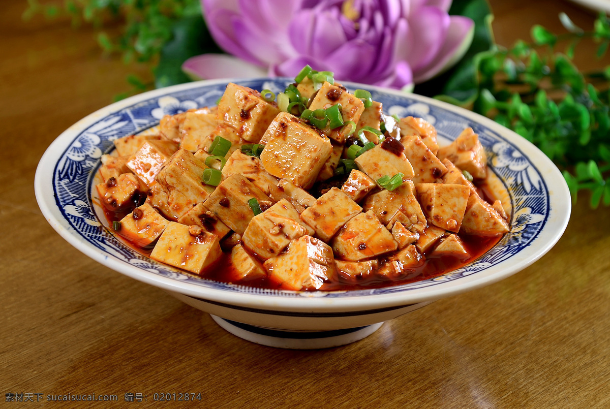 麻婆豆腐 农家豆腐 香辣豆腐 麻辣豆腐 红烧豆腐 家常豆腐 外婆豆腐 肉末豆腐 乡村豆腐 菜品图 餐饮美食 传统美食