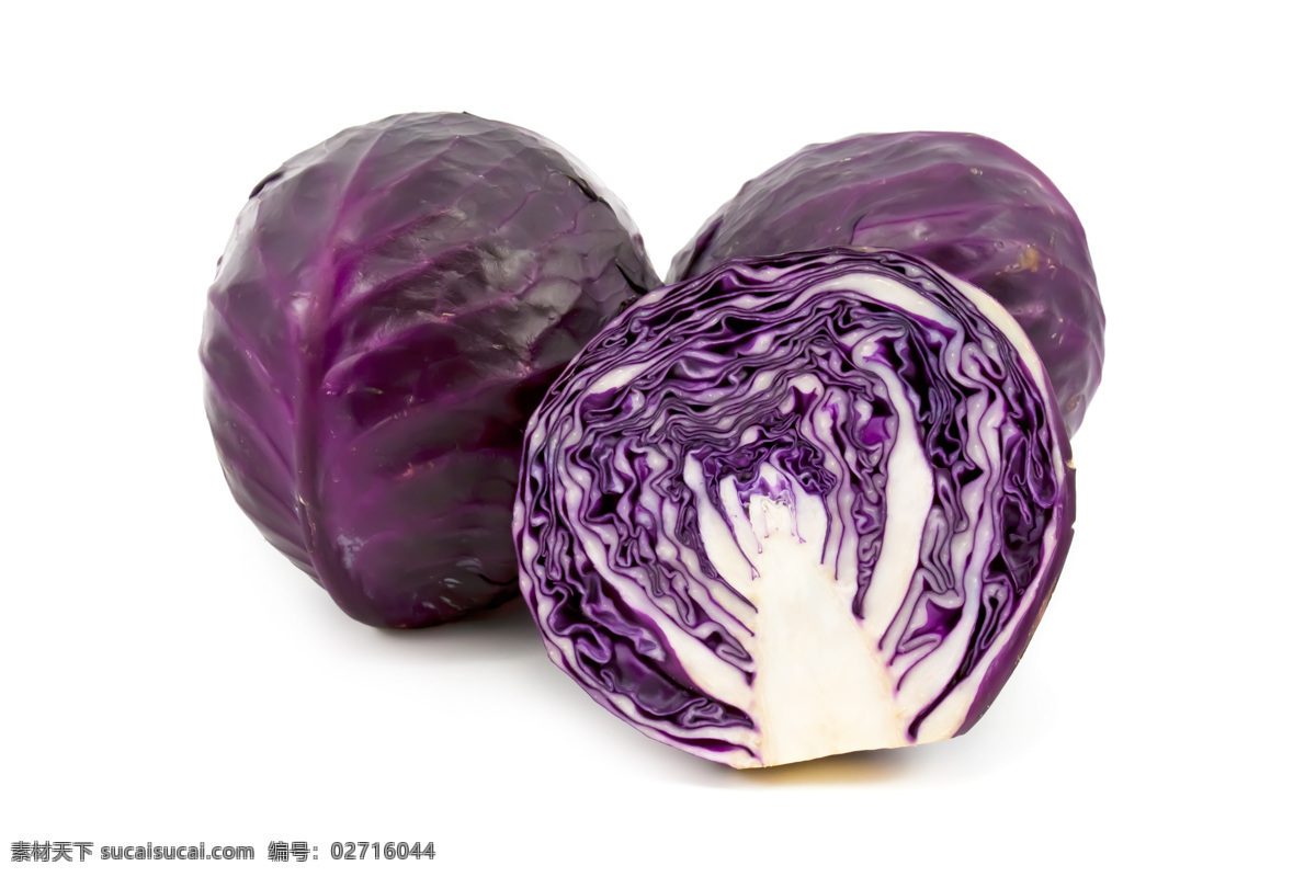 紫甘蓝 蔬菜 瓜果 瓜果蔬菜 蔬菜摄影 餐饮 食物原料 农业相关 拼盘 蔬菜拼盘 生物世界