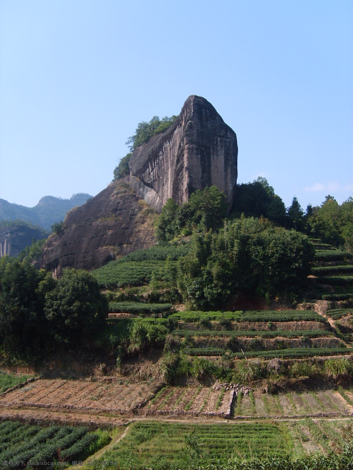 马头岩 大红袍 岩茶 茶树 茶园 武夷山 风景名胜区 旅游 自然风景 自然景观