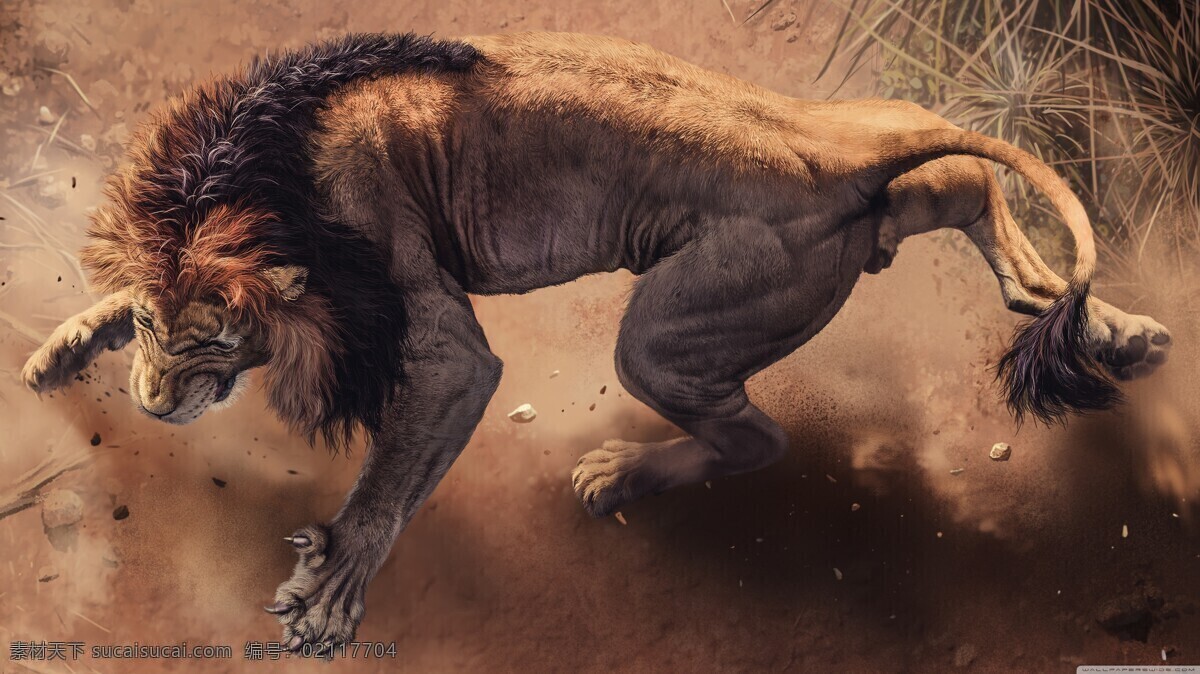 彩色 插画 雄狮 野兽 动物 生物世界 野生动物