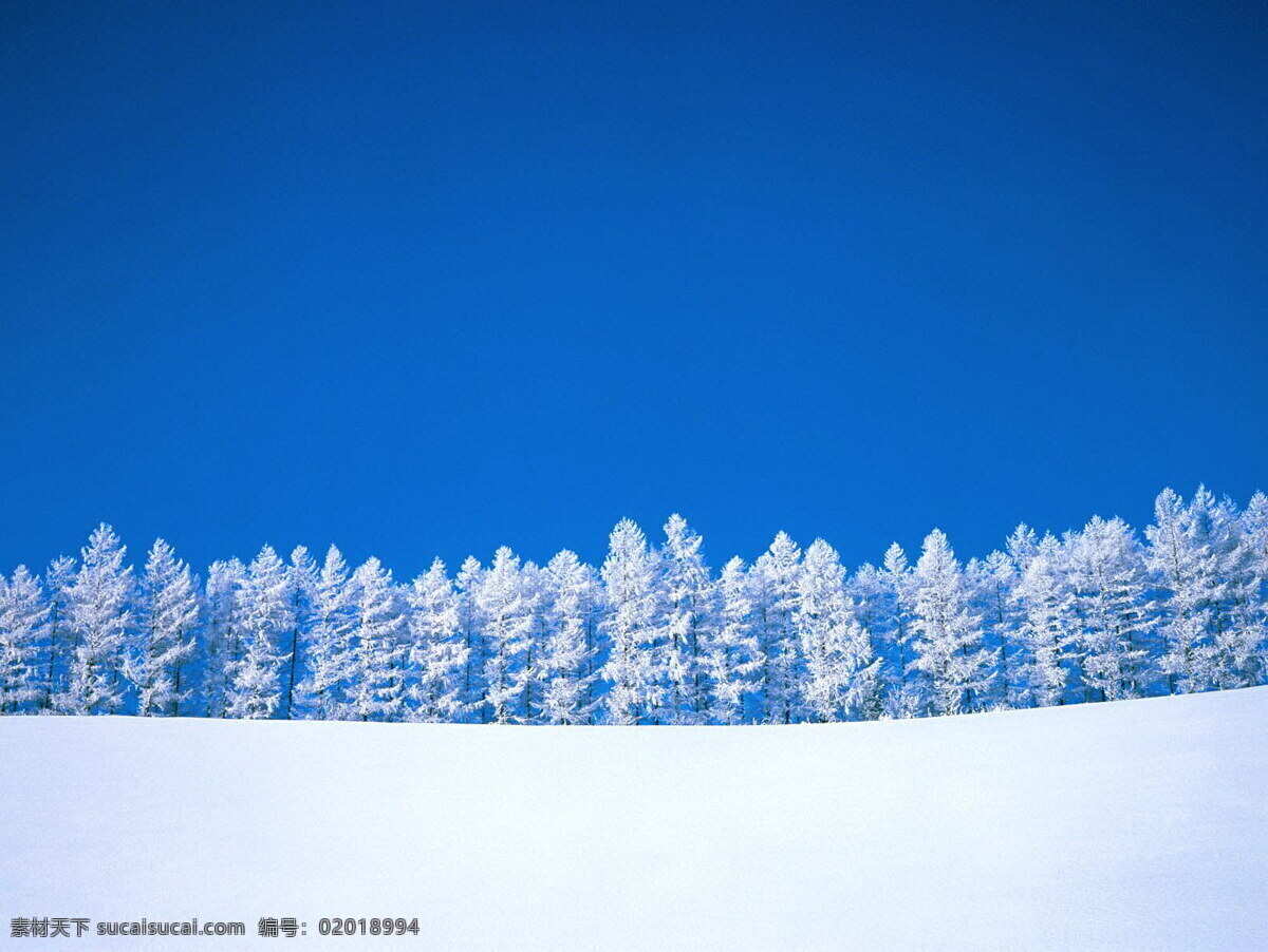 唯美 冬日 雪景 纯白 绝 美 绝美 风景 旅游摄影 自然风景