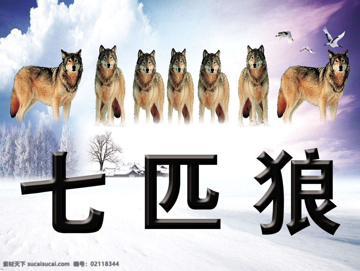 七匹狼 广告 招贴 飞鸟 天空 雪地上 七头狼 psd源文件