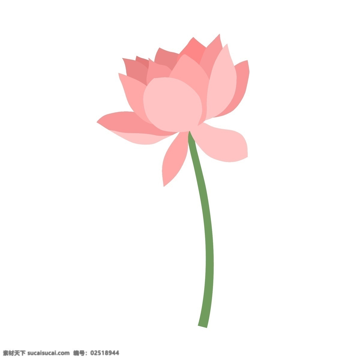 小清 新日 系 简约 扁平 矢量 现代 手绘 荷花 小清新 花卉 日系